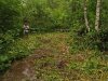 Расширенная тропа в сторону реки Синяя - ширина 5 метров